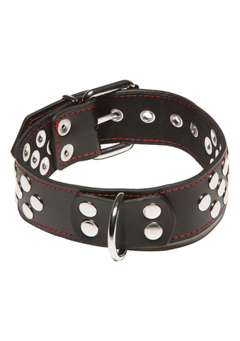 X-PLAY COLLAR WITH D-RING