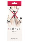 SINFUL HOGTIE PINK